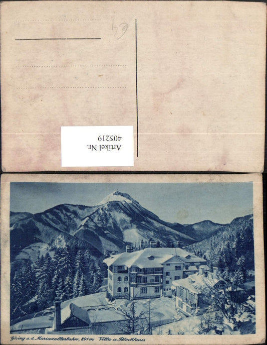 405219,Gösing an d. Mariazellerbahn Villa u. Blockhaus Bergkulisse Winterbild