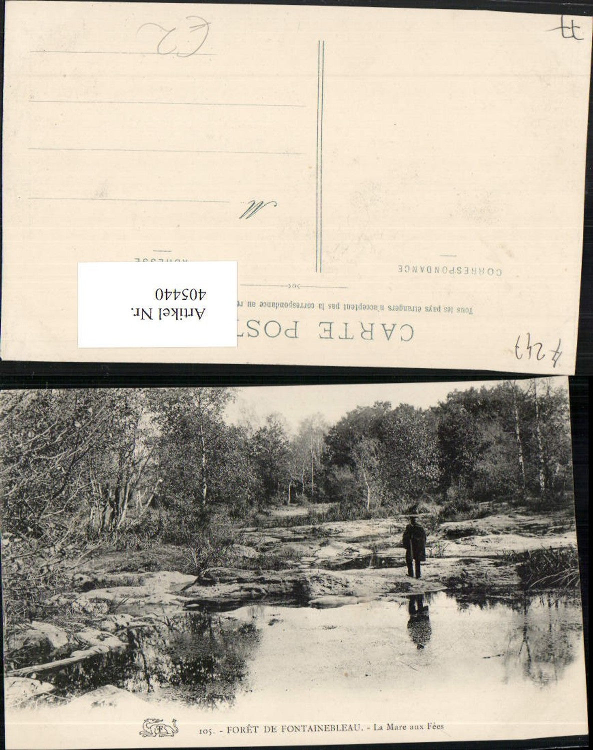 405440,Ile-de-France Seine-et-Marne Foret de Fontainebleau La Mare aux Fees Wald