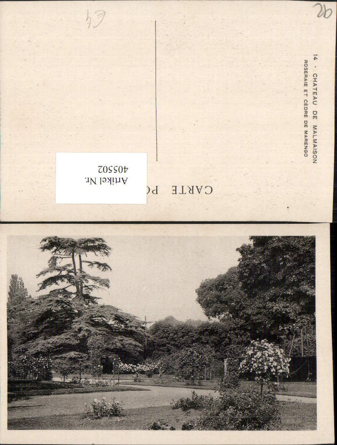 405502,Ile-de-France Hauts-de-Seine Chateau Malmaison Roseraie et Cedre de Marengo Rosengarten