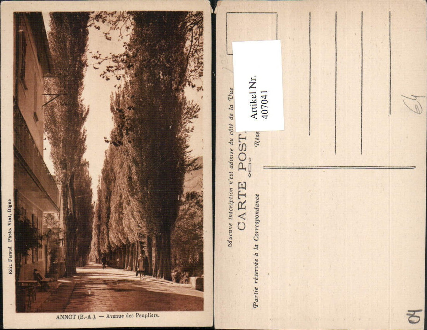 407041,Provence-Alpes-Cote-Azur Alpes-de-Haute-Provence Annot Avenue Peupliers Allee