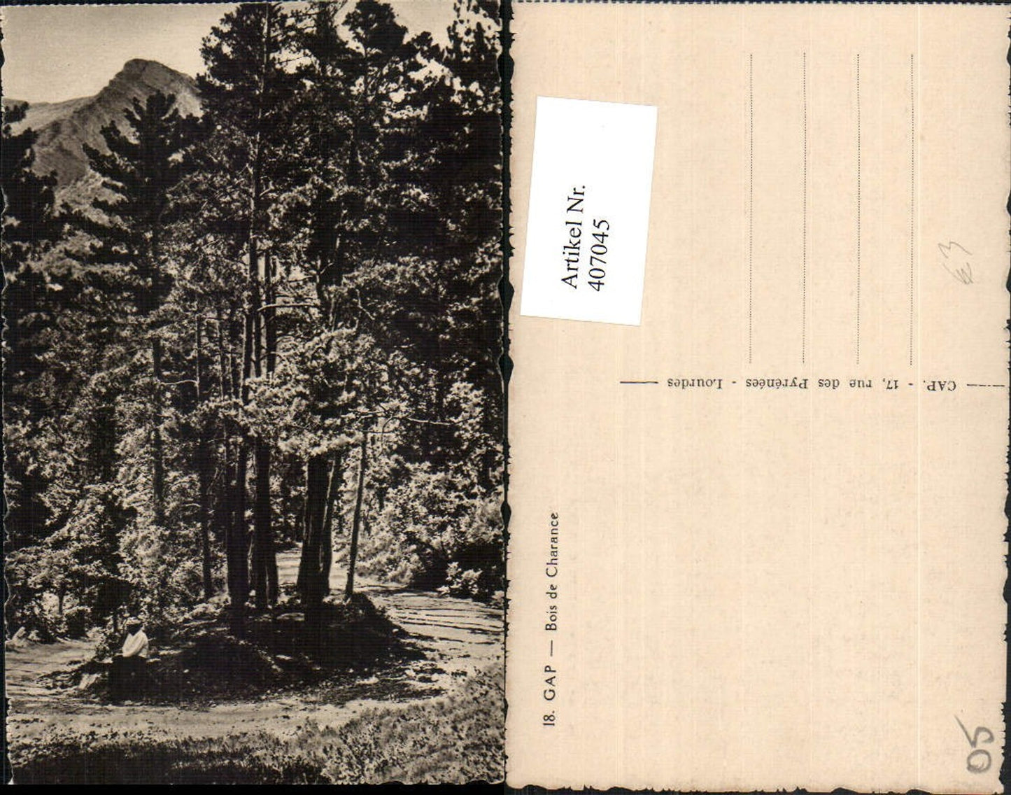 407045,Provence-Alpes-Cote-Azur Hautes-Alpes Gap Bois de Charance Wald