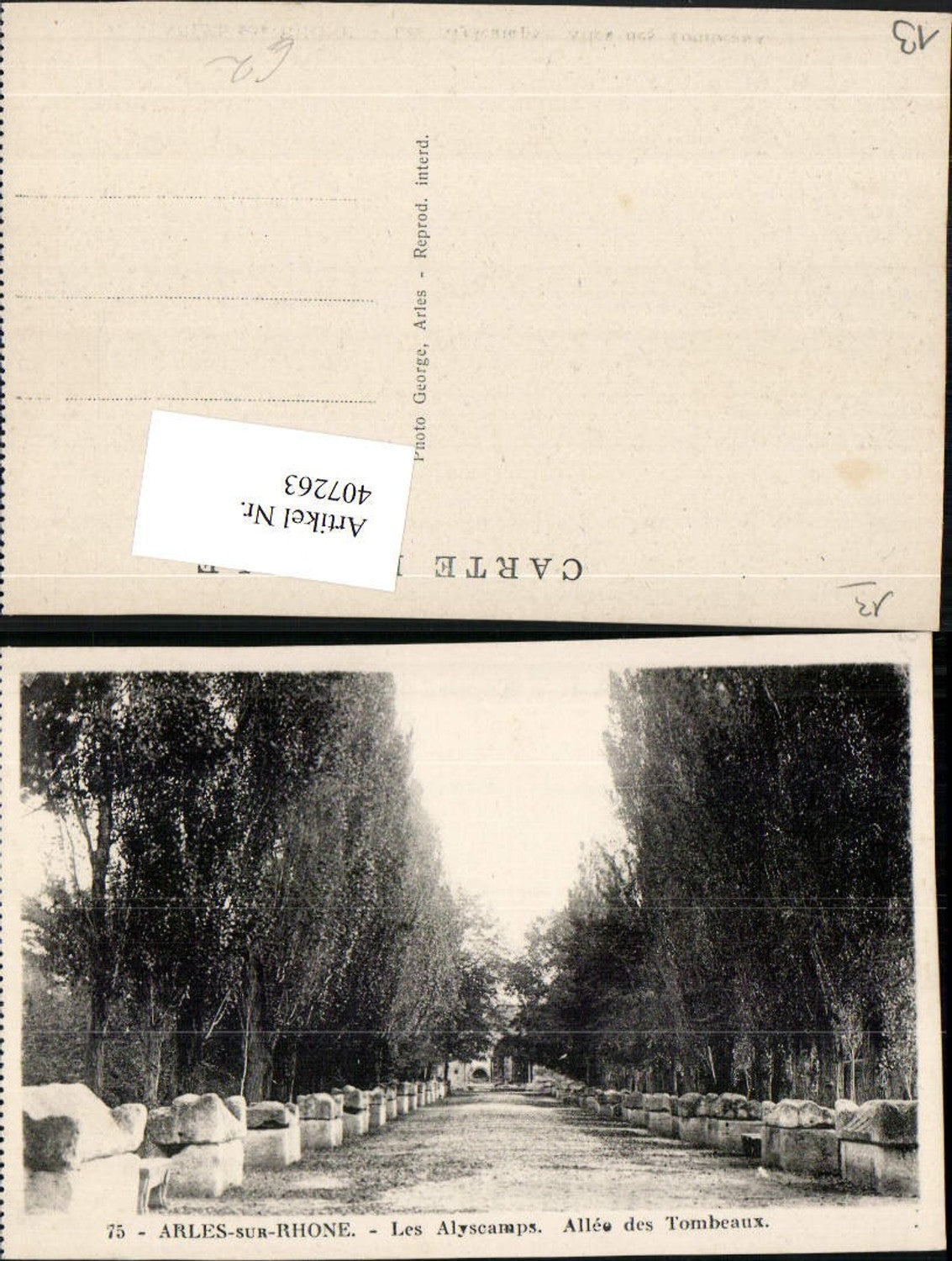 407263,Provence-Alpes-Cote-Azur Bouches-de-Rhone Arles-sur-Rhone Alyscamps Allee Tombeaux