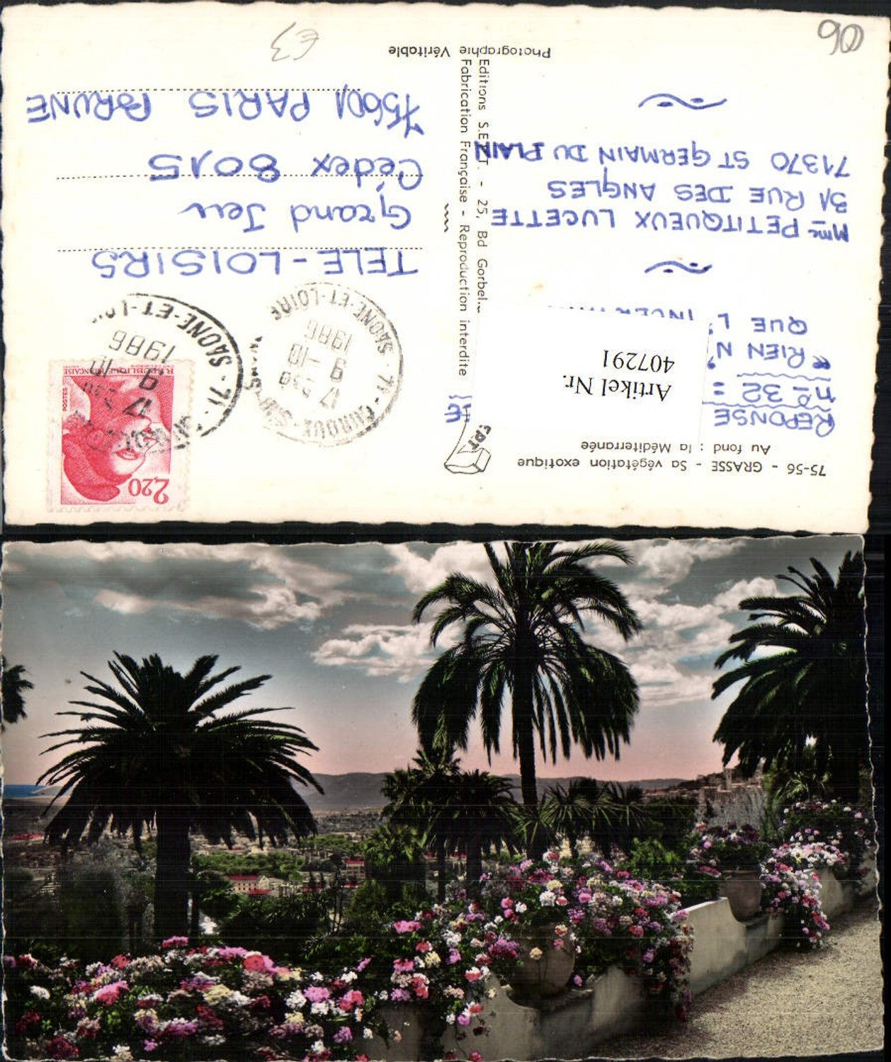 407291,Provence-Alpes-Cote-Azur Alpes-Maritimes Grasse Vegetation exotique Palmen