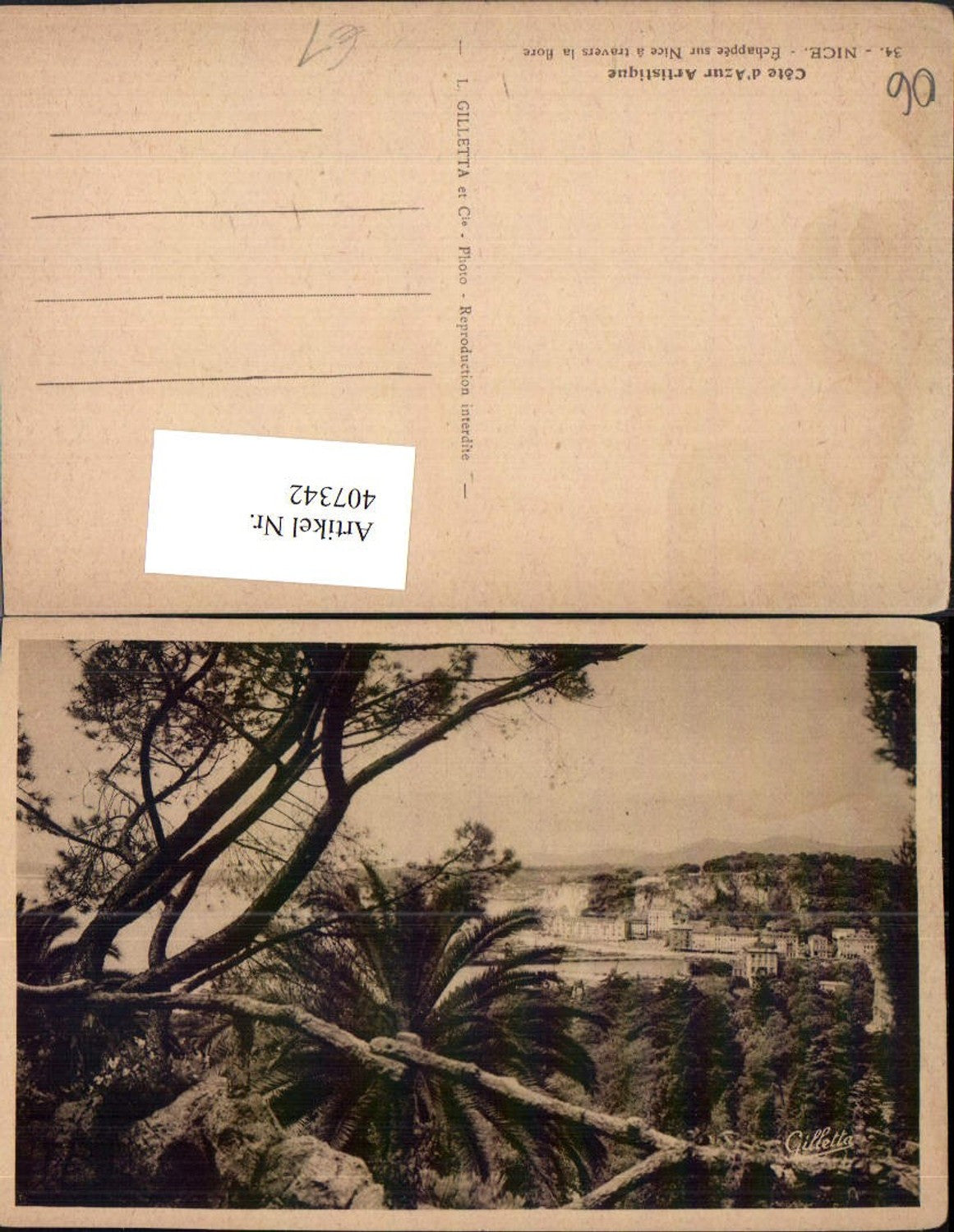 407342,Provence-Alpes-Cote-Azur Alpes-Maritimes Nice Nice Echappee View Trees