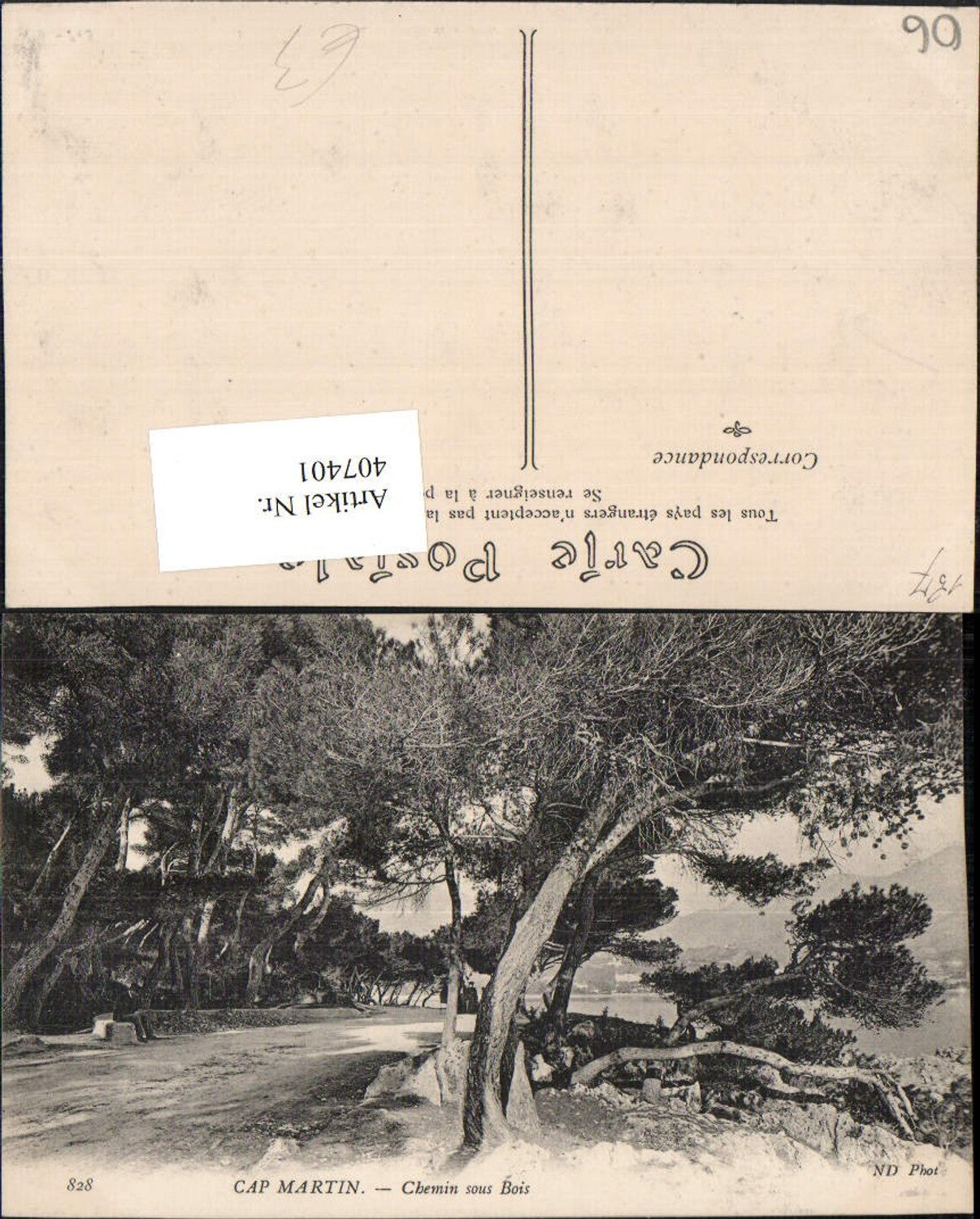 407401,Provence-Alpes-Cote-Azur Alpes-Maritimes Cap Martin Chemin sous Bois Bäume