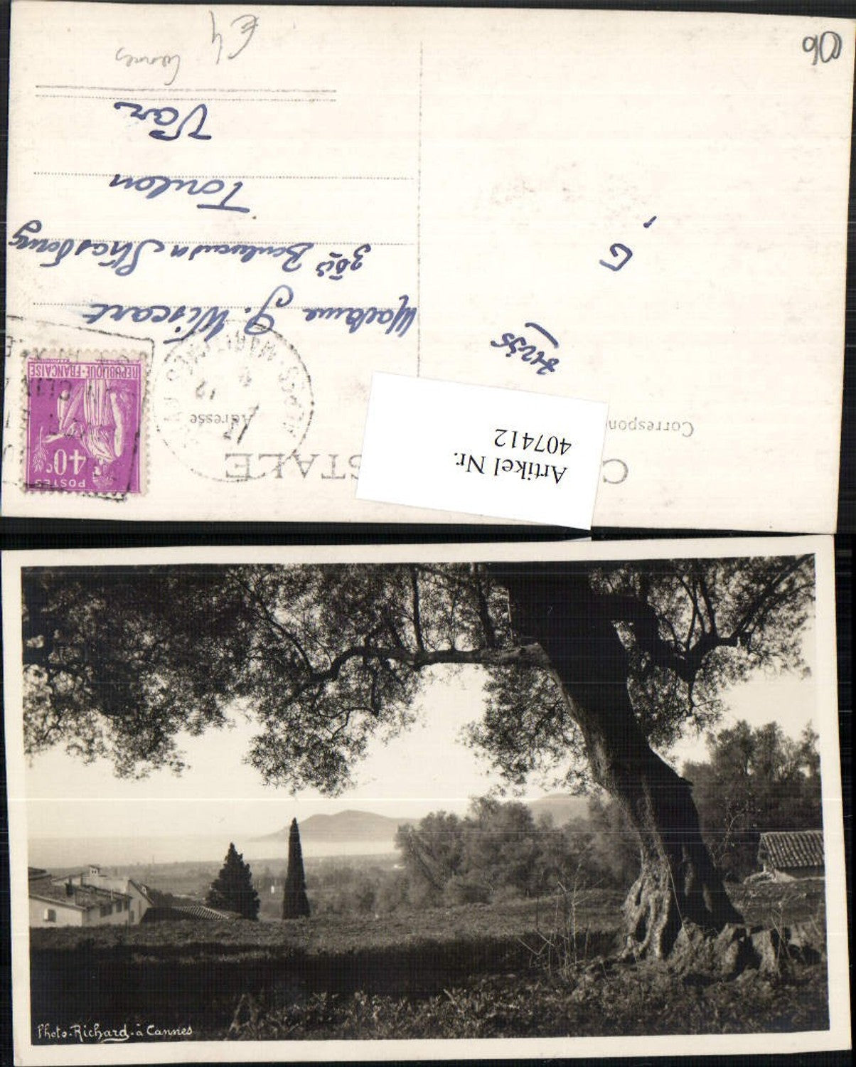 407412,Provence-Alpes-Cote-Azur Alpes-Maritimes Cannes Motiv Baum