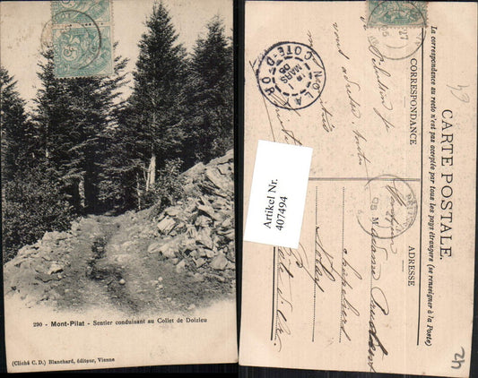 407494,Rhone-Alpes Loire Mont-Pilat Sentier conduisant au Collet de Doizieu Wald