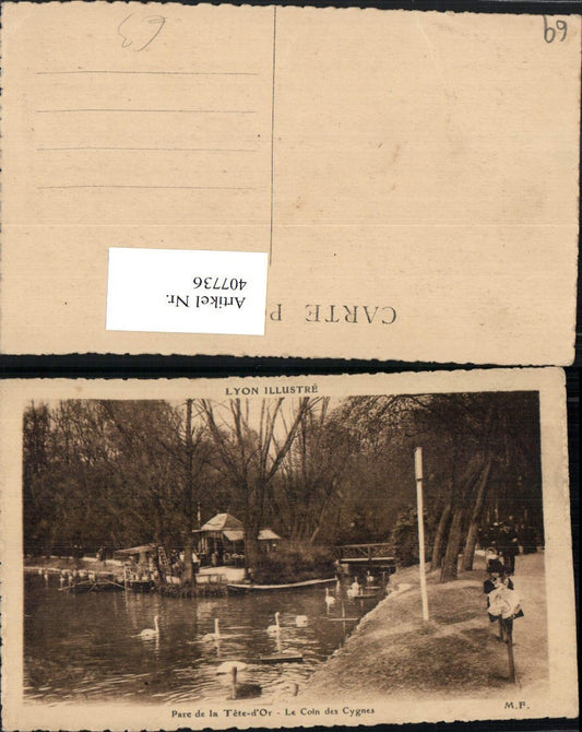 407736,Rhone-Alpes Rhone Lyon Parc de la Tete-d'Or Cygnes Schwäne