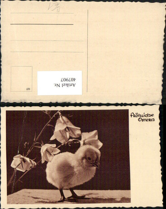 407907,Ostern Küken Glockenblume Blume