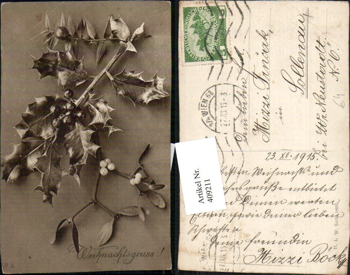 409211,Weihnachten Stechpalme Zweig
