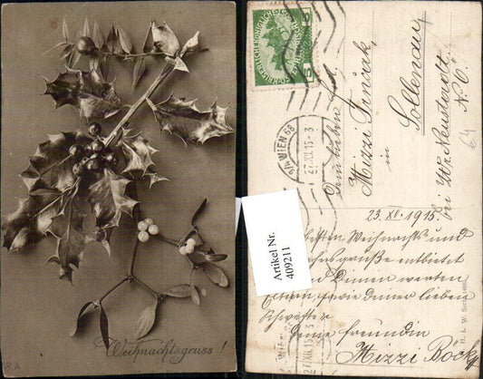 409211,Weihnachten Stechpalme Zweig