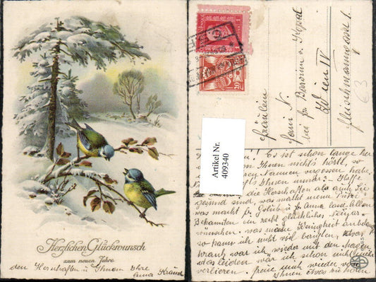 409340,Künstler AK Neujahr Winterlandschaft Vögel Blaumeisen