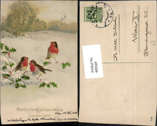 409369,Künstler AK Neujahr Winterlandschaft Vögel Rotkehlchen