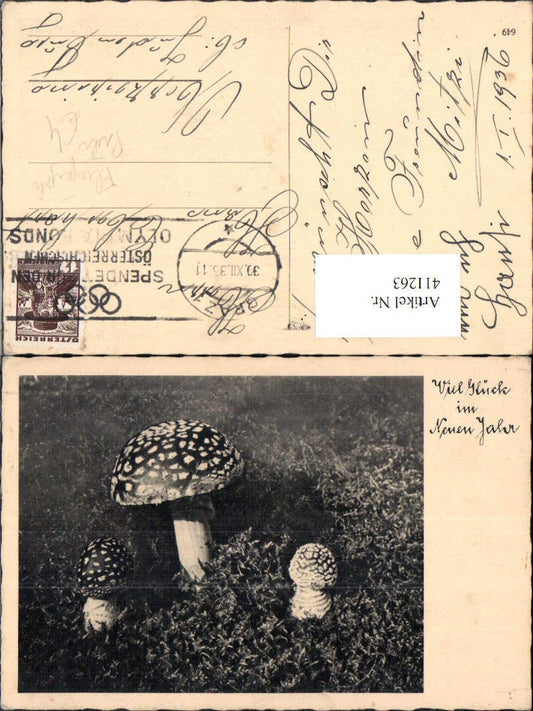 411263,Foto Ak Pilze Fliegenpilze Gemüse Pilz