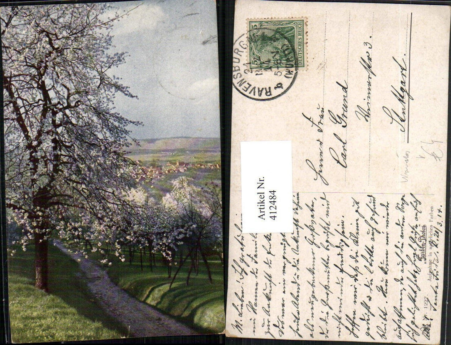 412484,Künstler AK Landschaft Baumblüte Bäume pub Novolito 1227