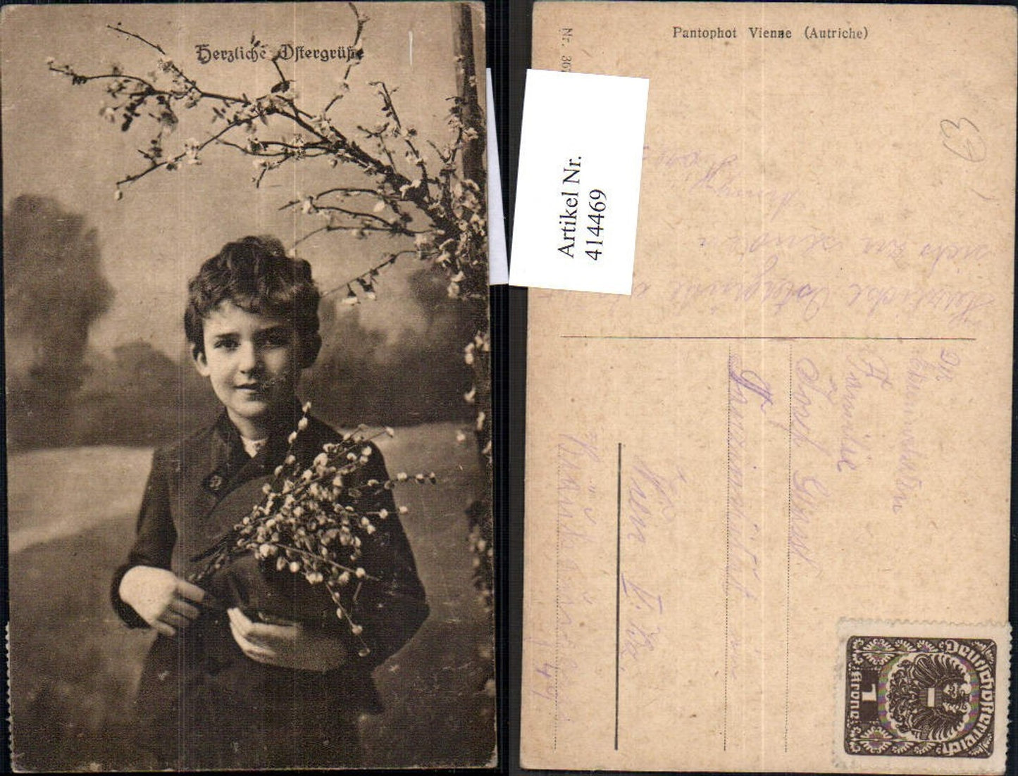 414469, Child Boy Young Pussy willow blossom branch Easter