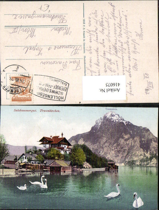 416075,Traunkirchen Schwäne m. Traunstein Bergkulisse pub F. E. Brandt 407