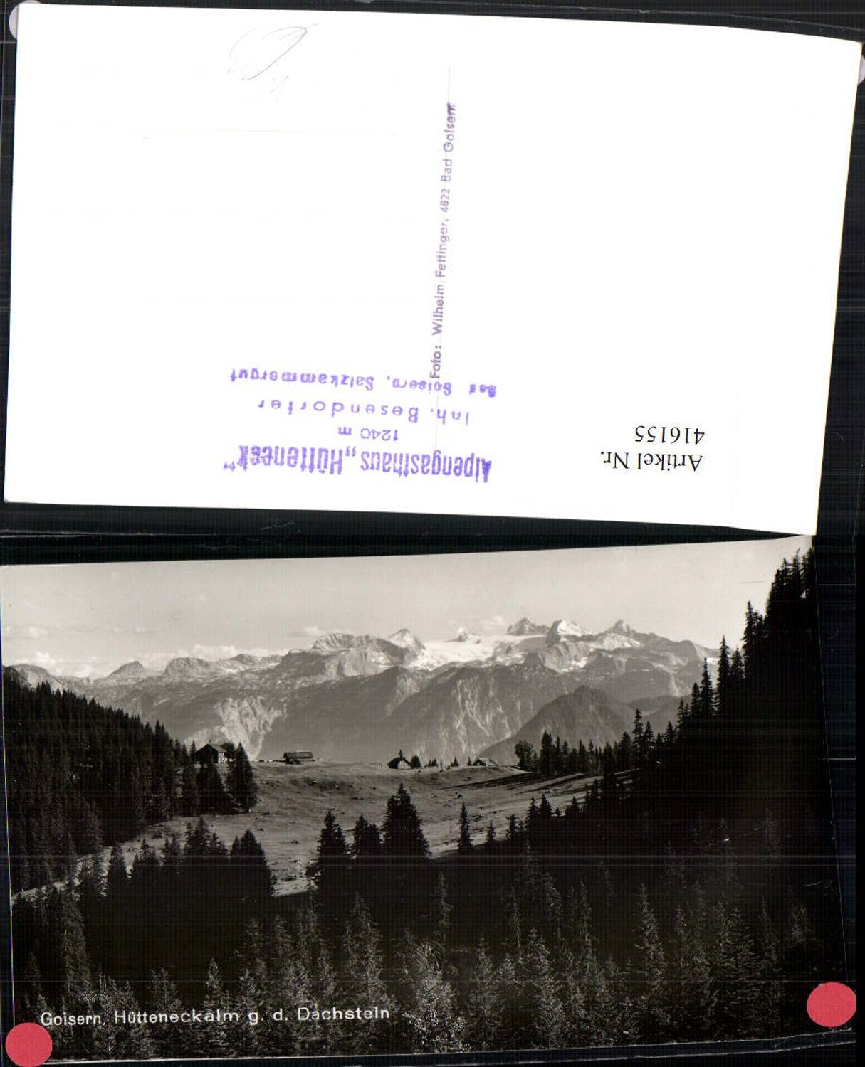 416155,Bad Goisern Hütteneckalm geg. Dachstein Bergkulisse