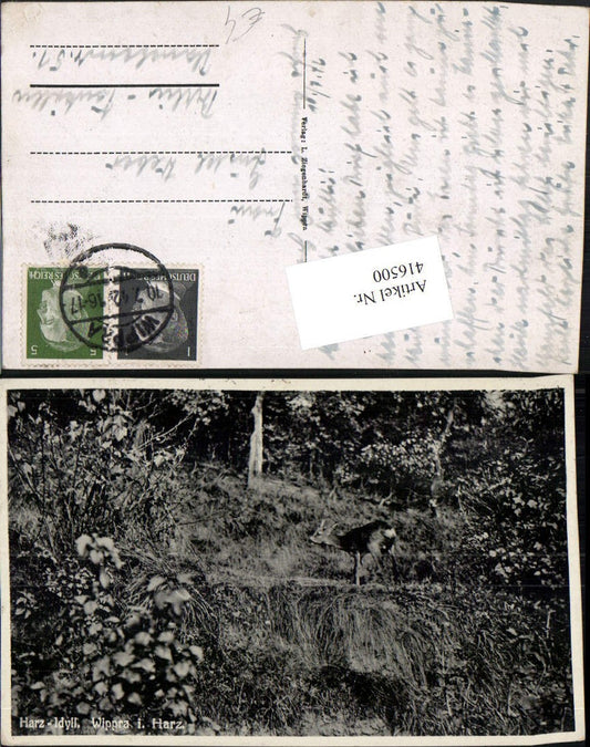 416500,Wippra im Harz Idyll Reh Wild