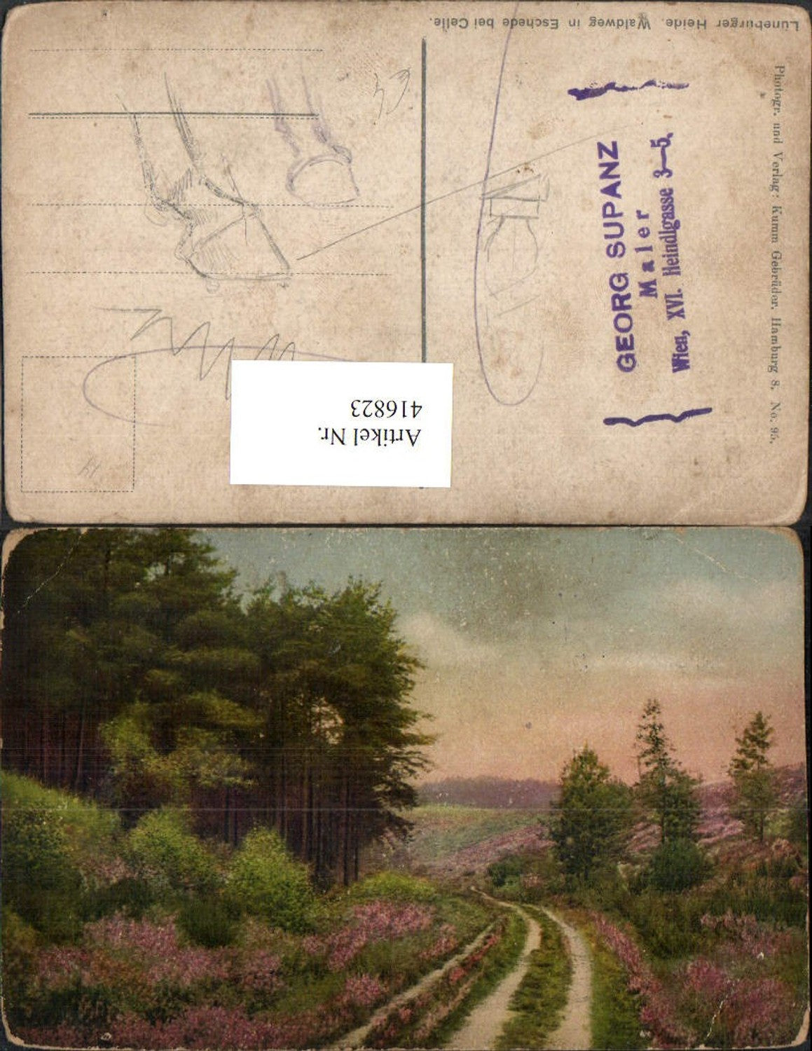 416823,Lüneburger Heide Waldweg in Eschede b. Celle Landschaft