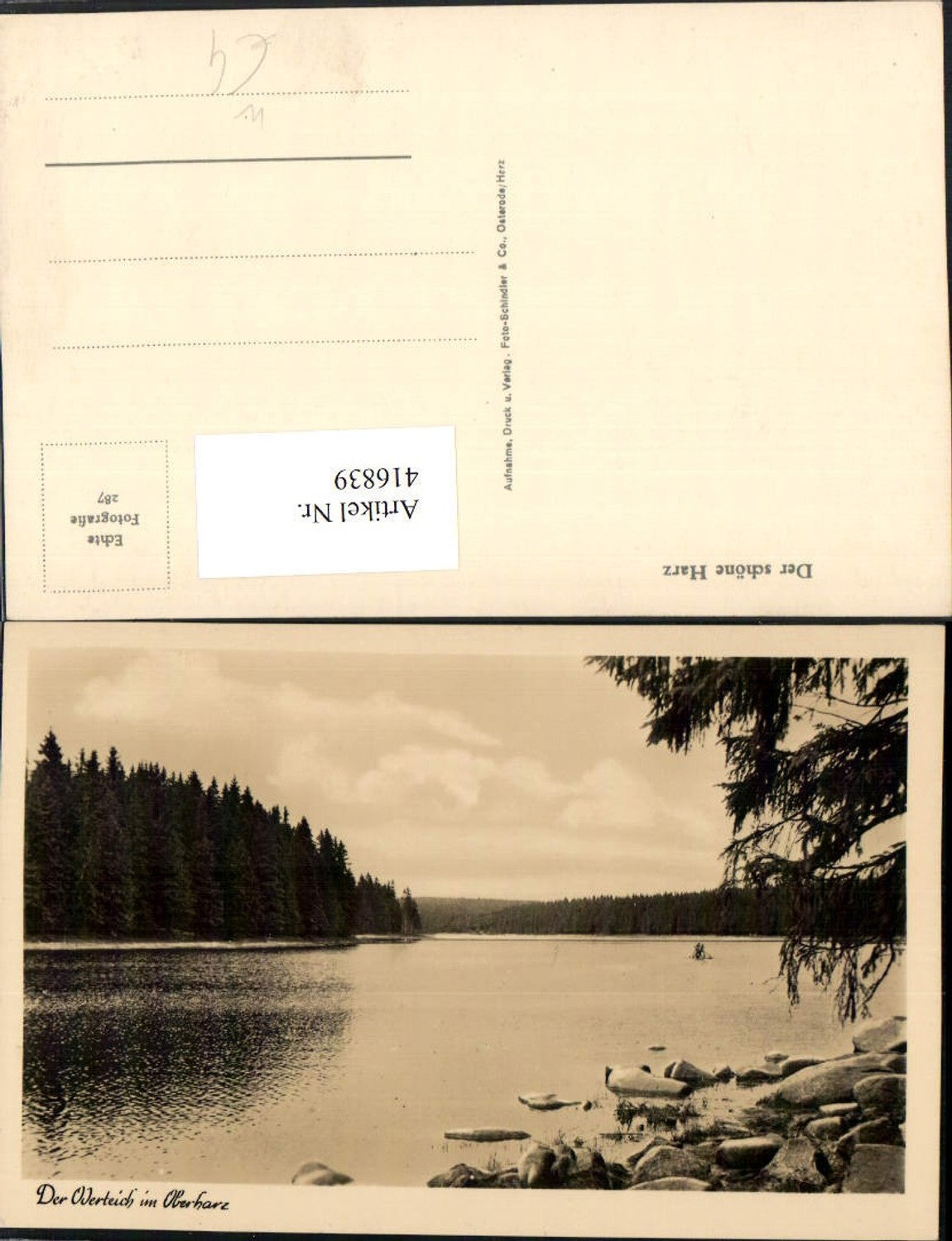 416839,Werteich Teich See im Oberharz Partie