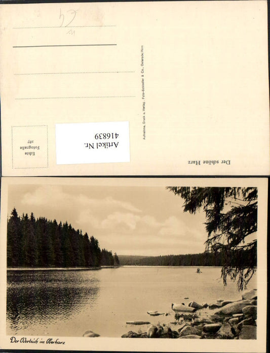 416839,Werteich Teich See im Oberharz Partie