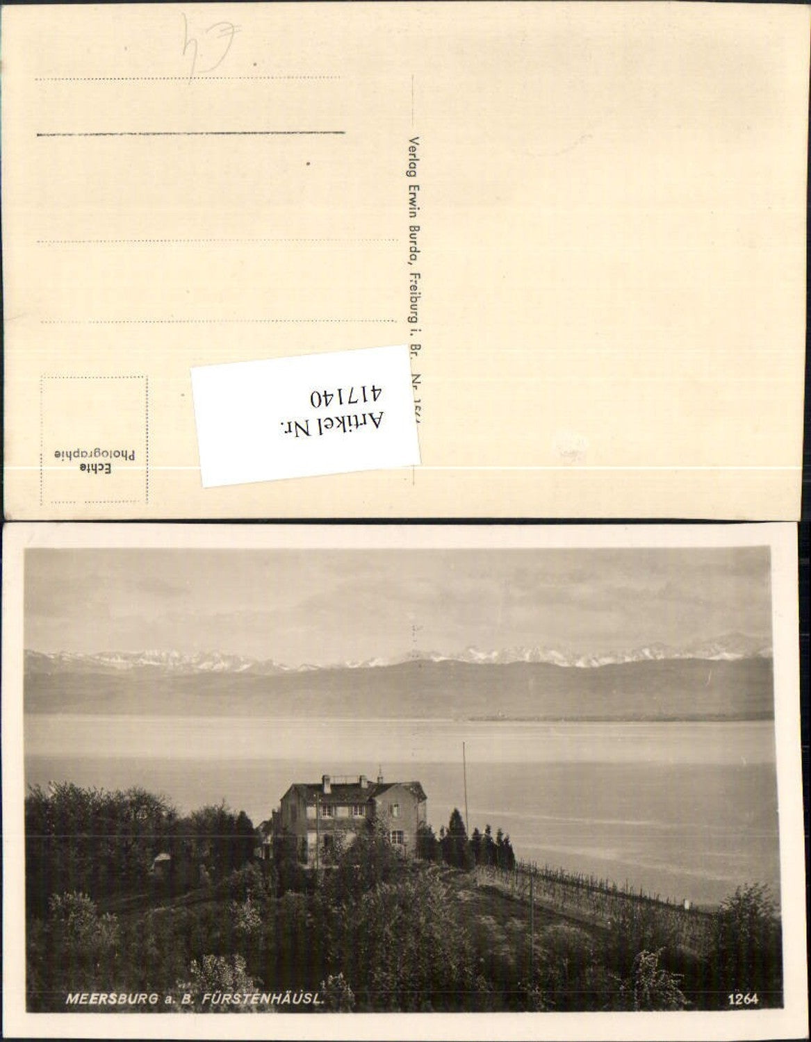 417140,Meersburg am Bodensee Fürstenhäusl Bergkulisse