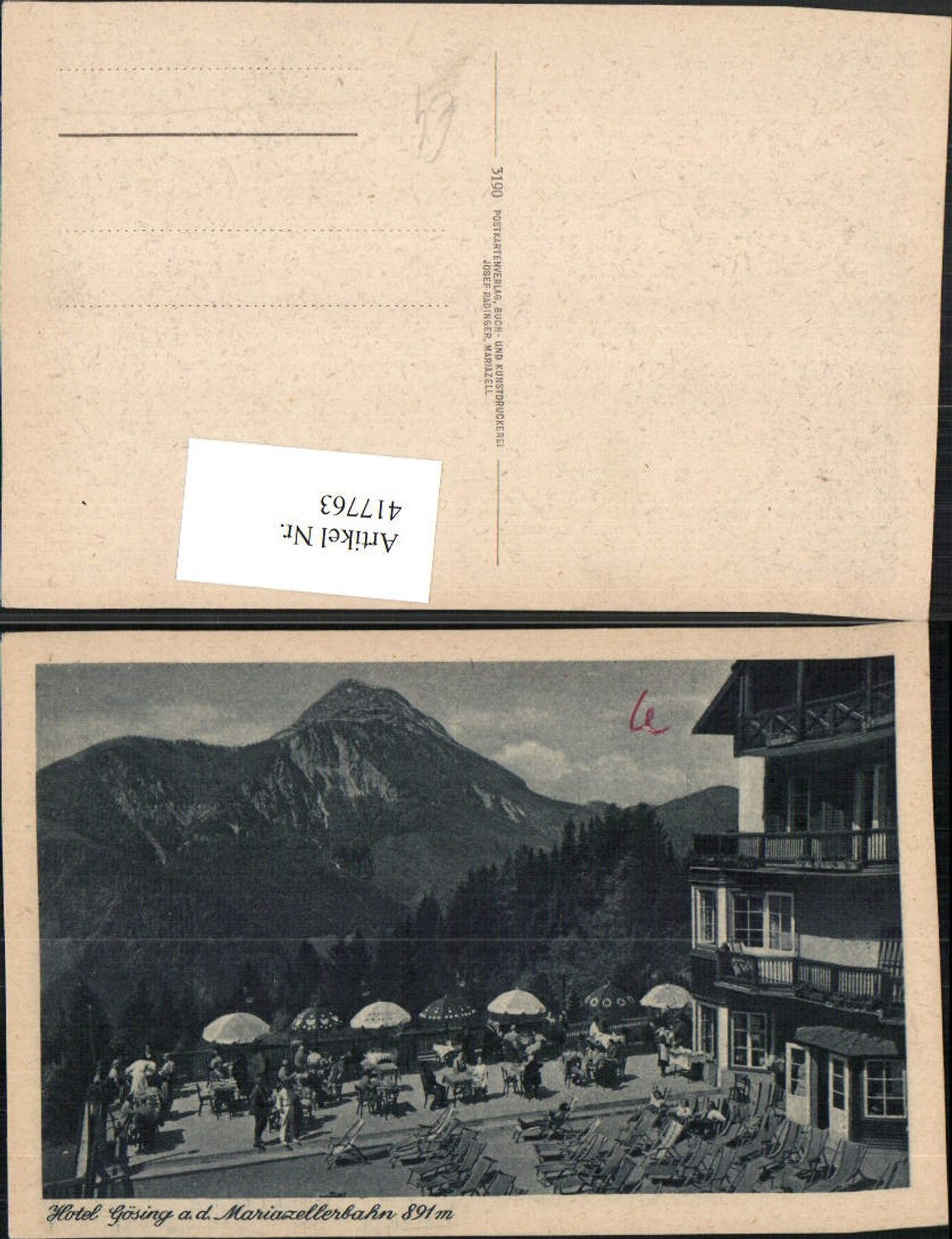 417763,Hotel Gösing an d. Mariazellerbahn Terrasse Bergkulisse