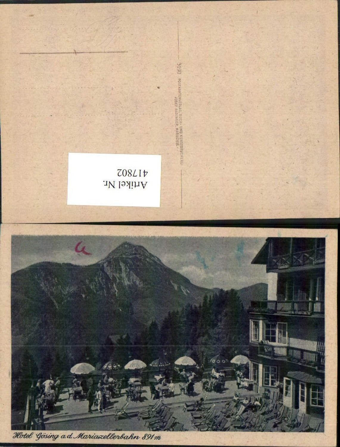 417802,Gösing an d. Mariazellerbahn Hotel Terrasse Bergkulisse