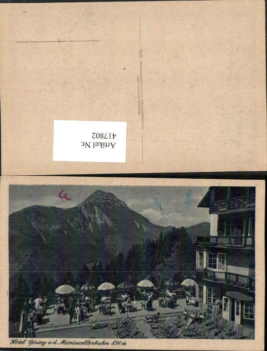 417802,Gösing an d. Mariazellerbahn Hotel Terrasse Bergkulisse
