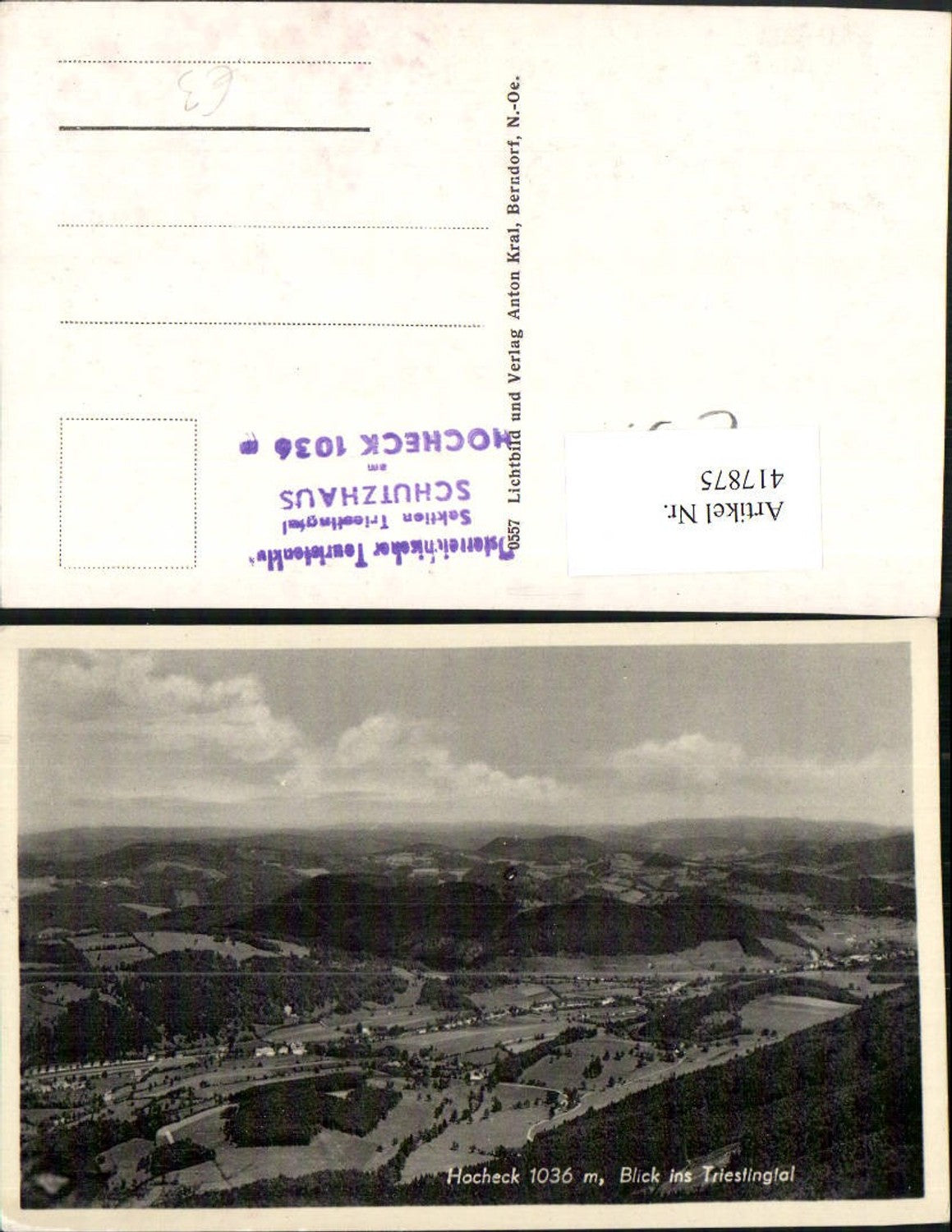 417875,Hocheck Blick ins Triestingtal