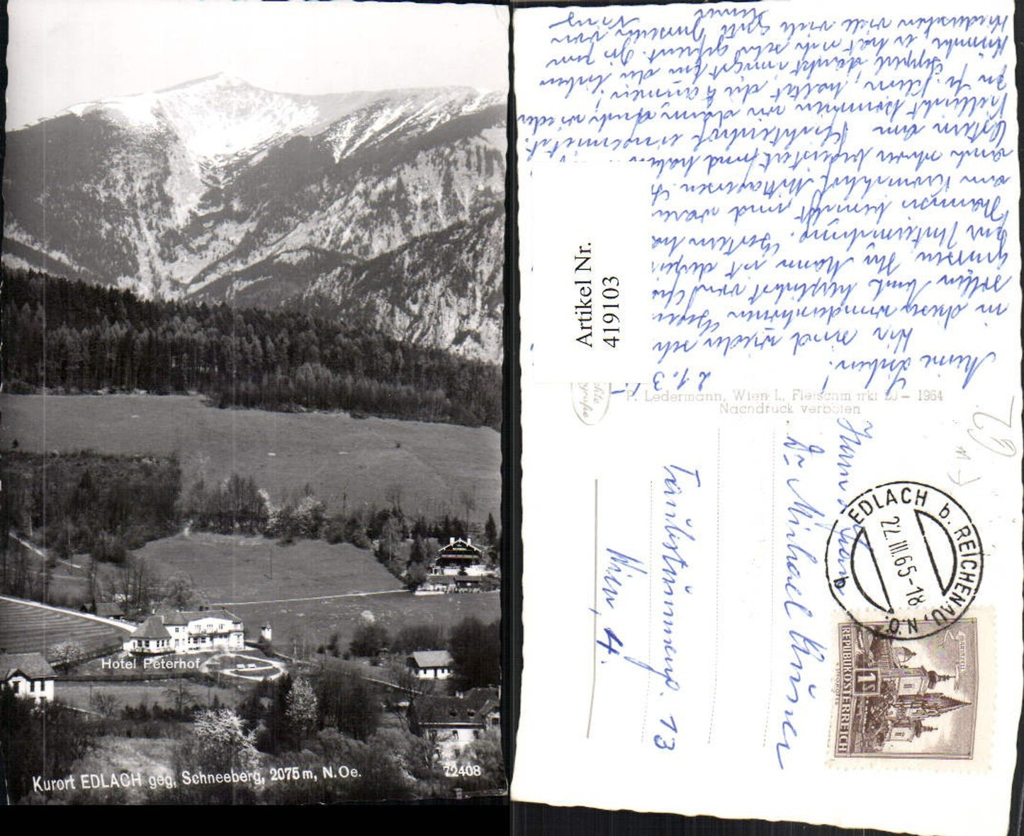 419103,Edlach b. Reichenau Hotel Peterhof geg. Schneeberg Bergkulisse