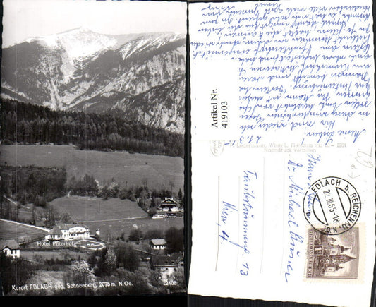 419103,Edlach b. Reichenau Hotel Peterhof geg. Schneeberg Bergkulisse