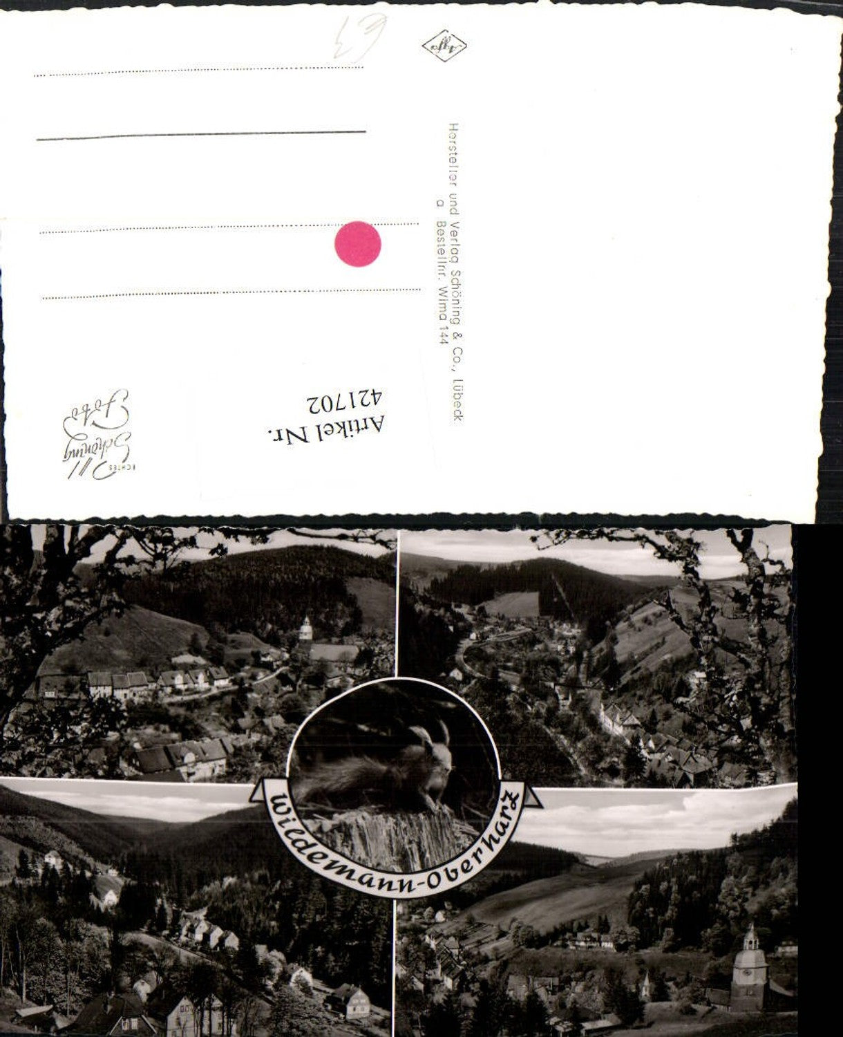 421702,Wildemann im Oberharz Totale Eichkätzchen Mehrbildkarte