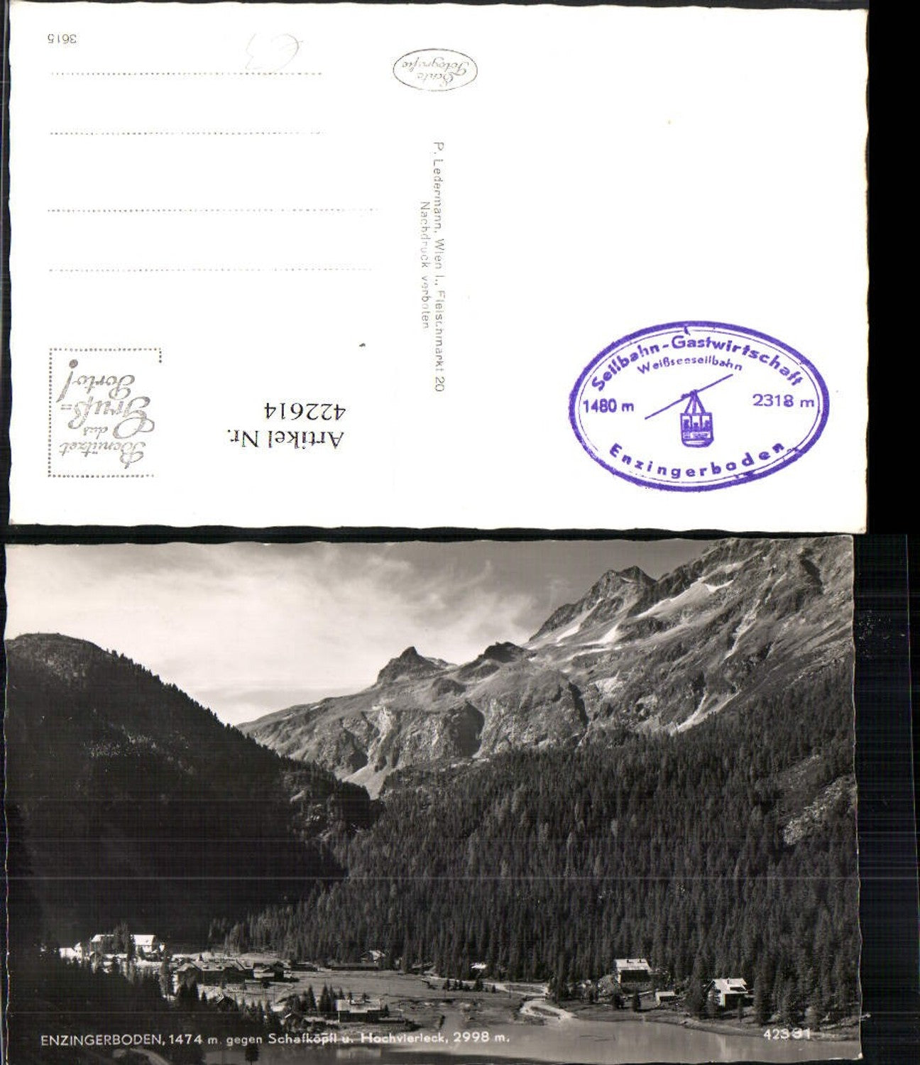 422614,Enzingerboden b. Uttendorf geg. Schafköpfl Bergkulisse