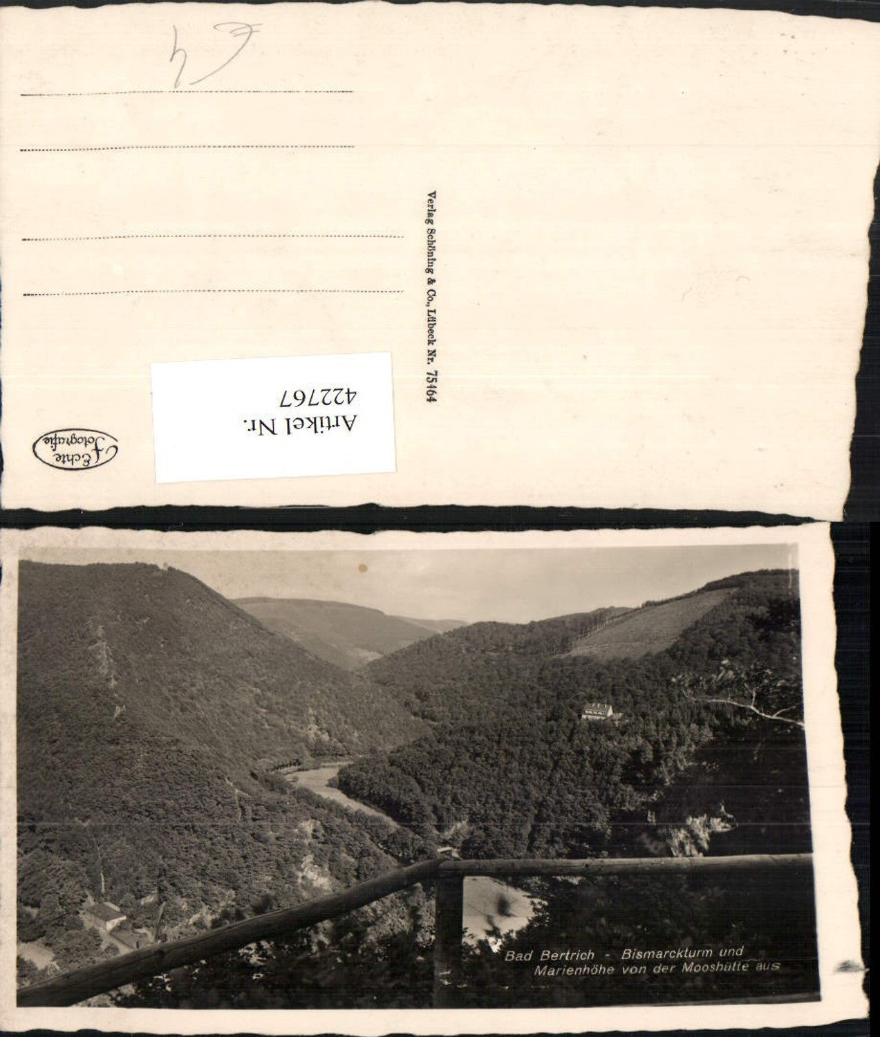 422767,Bad Bertrich Bismarckturm u. Marienhöhe von der Mooshütte aus