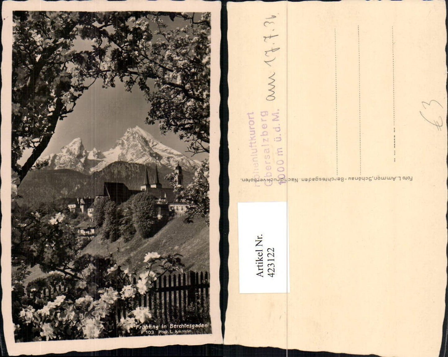 423122, Berchtesgaden partial view mountain scenery tree blossom