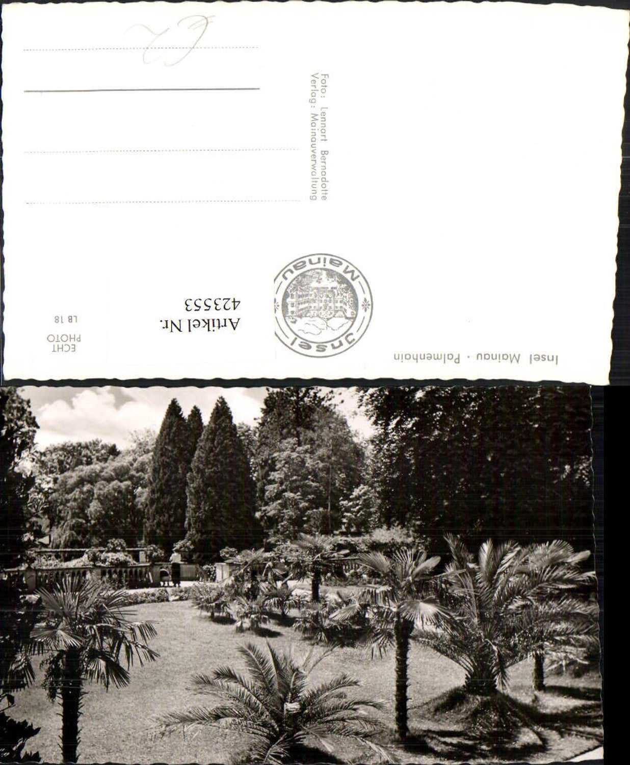 423553,Insel Mainau im Bodensee Palmenhain Garten