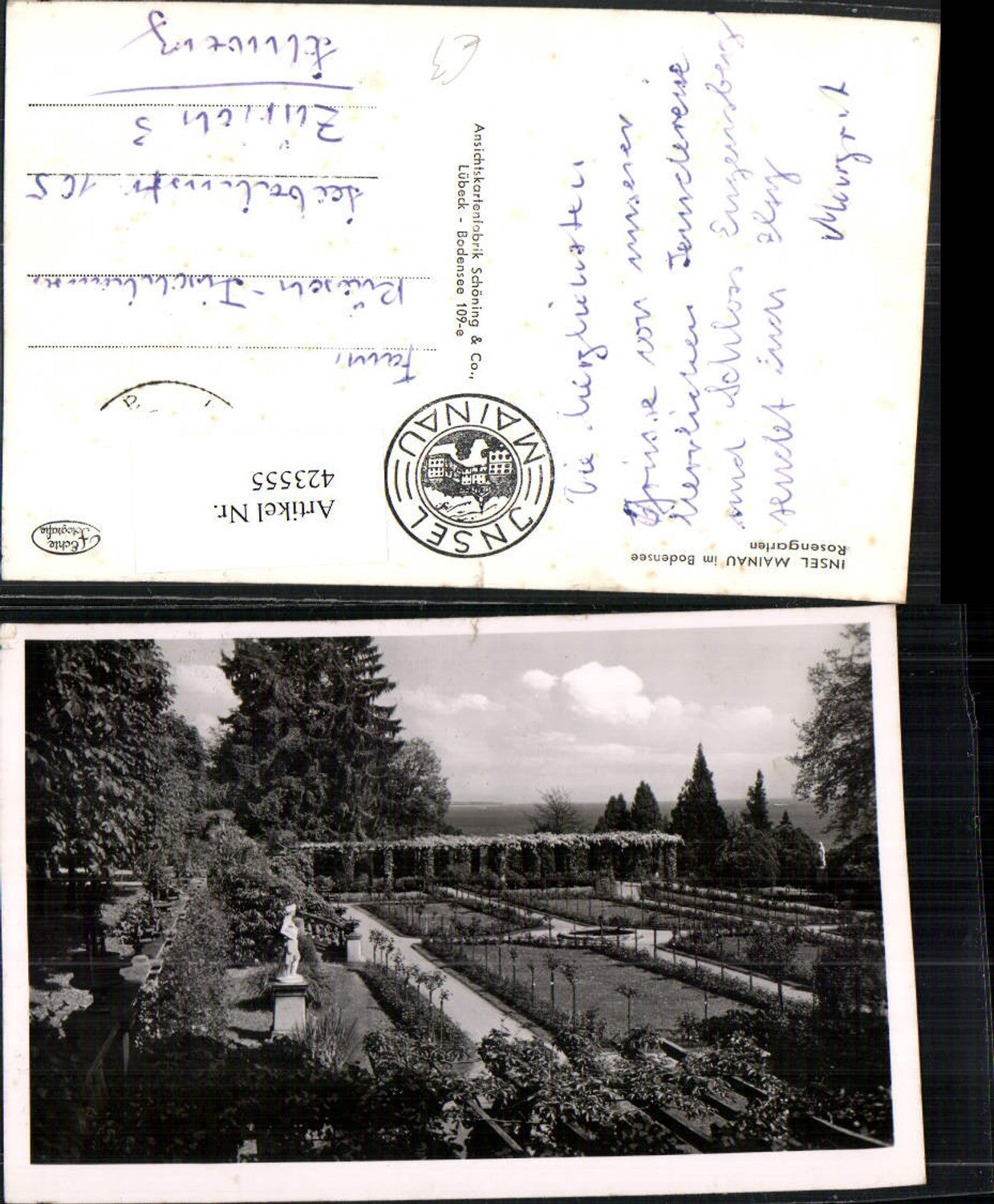 423555,Insel Mainau im Bodensee Rosengarten