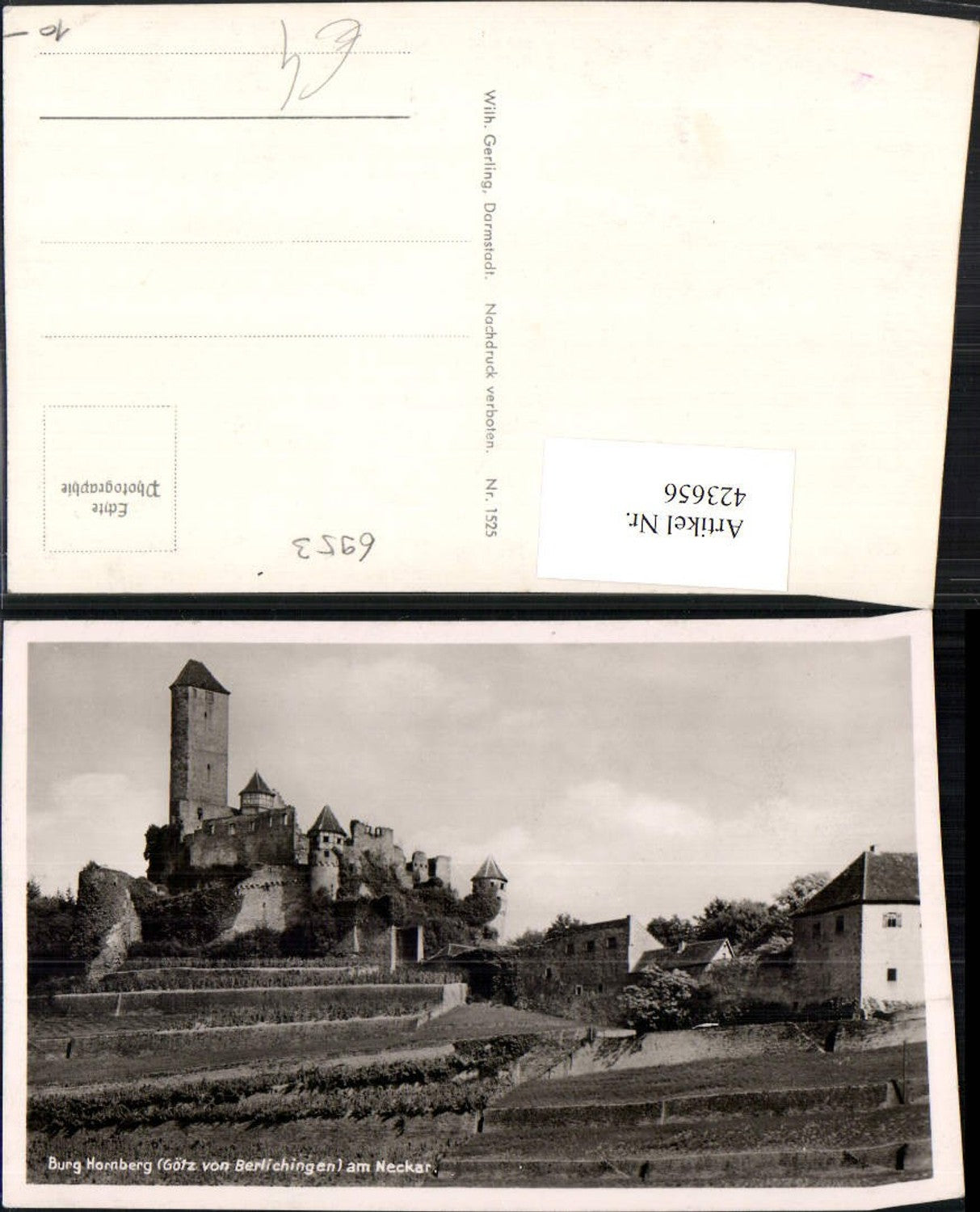 423656,Burg Hornberg am Neckar b. Neckarzimmern