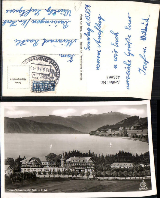 423665, Artist AK Titisee in the Black Forest Lake Mountain scenery