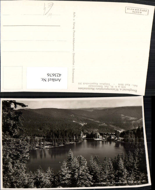 423676,Mummelsee in the Black Forest Lake b. Seebach