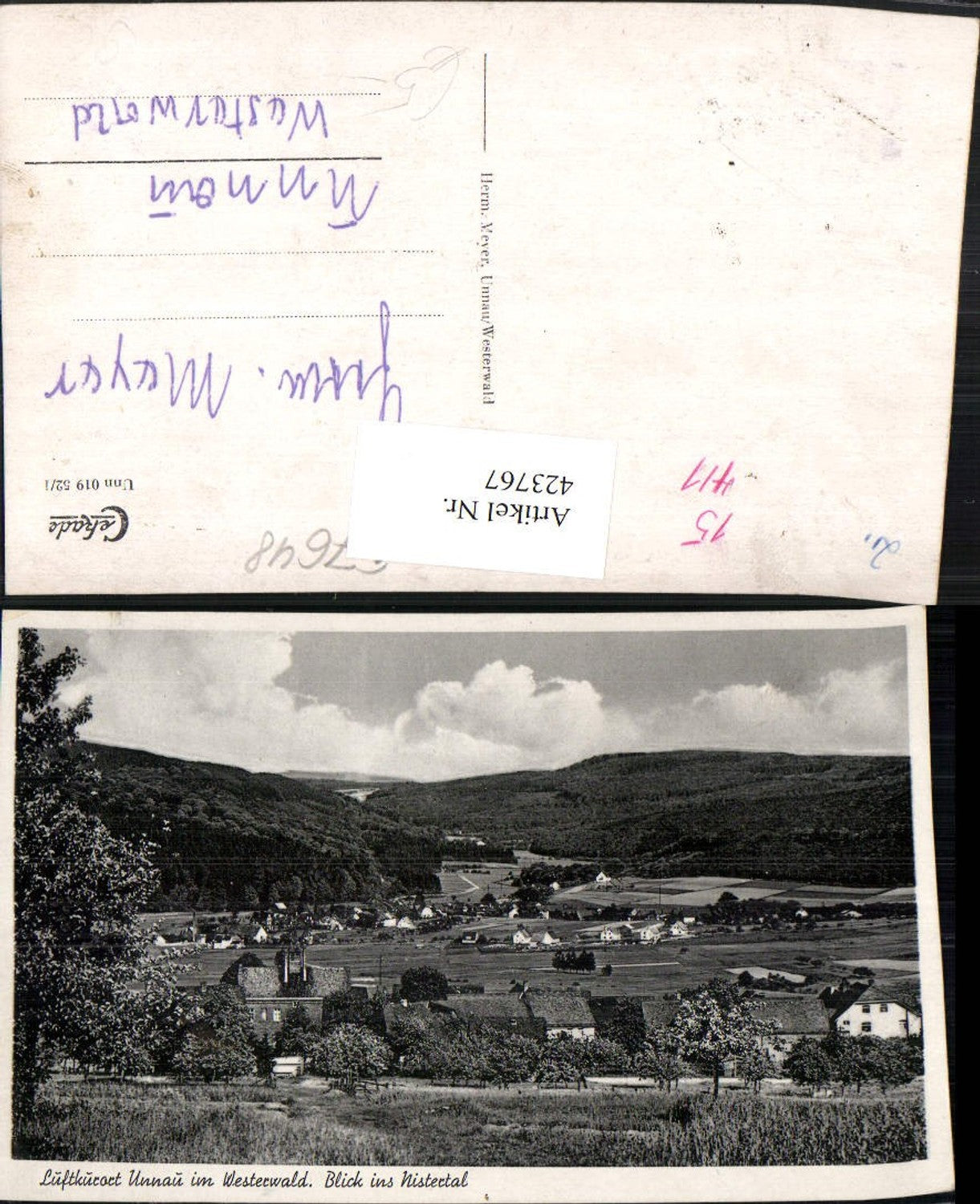 423767,Unnau im Westerwald Blick ins Nistertal Teilansicht