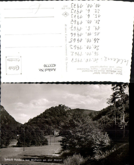 423770,Mülheim an d. Mosel b. Bernkastel Schloss Veldenz