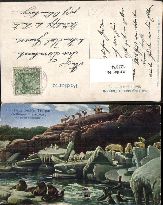 423874,Künstler AK Hamburg Stellingen Carl Hagenbecks Tierpark Nordland Robben Pinguine