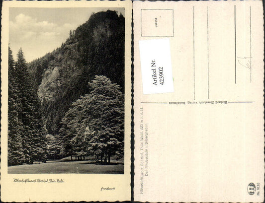 423902, Oberhof Räuberstein im Silbergraben Felsen