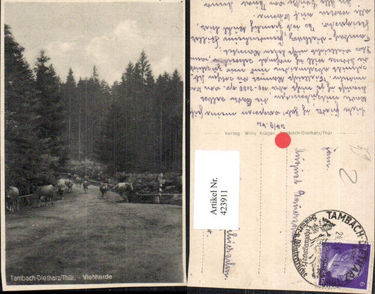 423911,Tambach-Dietharz Viehherde Rinder Straße Wald