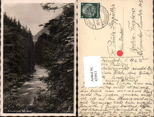 423913, Schwarzatal near Sitzendorf, river, forest