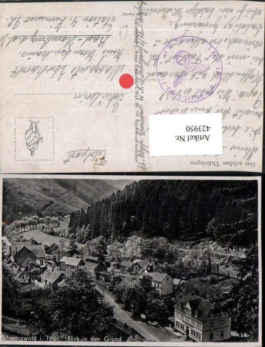 423950,Schwarzwald in Thüringen Teilansicht Blick in den Grund
