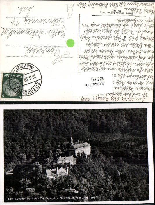 423975,Schwarzburg Schloss vom Trippstein